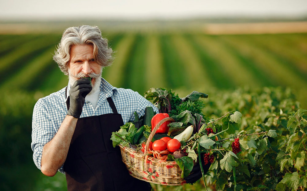 Сельское хозяйство - специальности