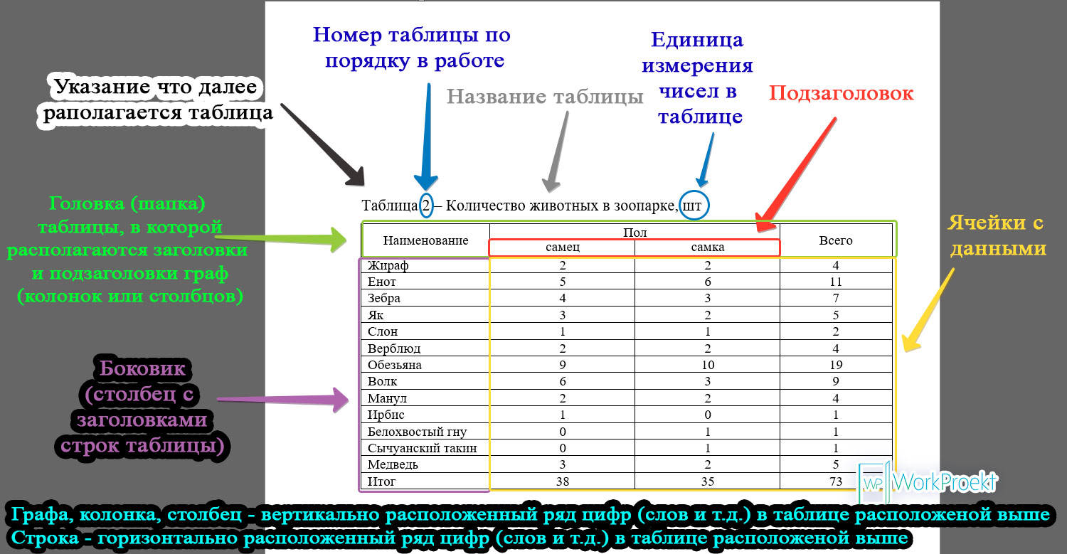 Структура таблицы в школьных и студенческих работах