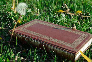 Информация о сайте